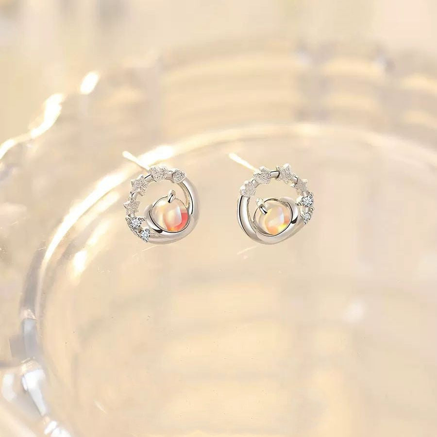 S925 Sterling Silver Stud Earrings
